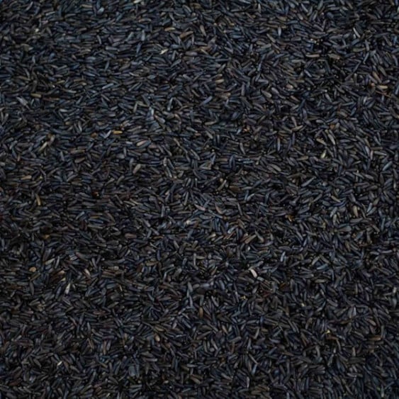 Niger Seed