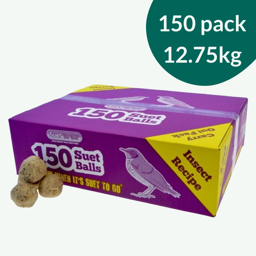 Premium Suet Balls - Insect Flavour