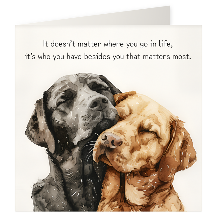 Greetings Cards