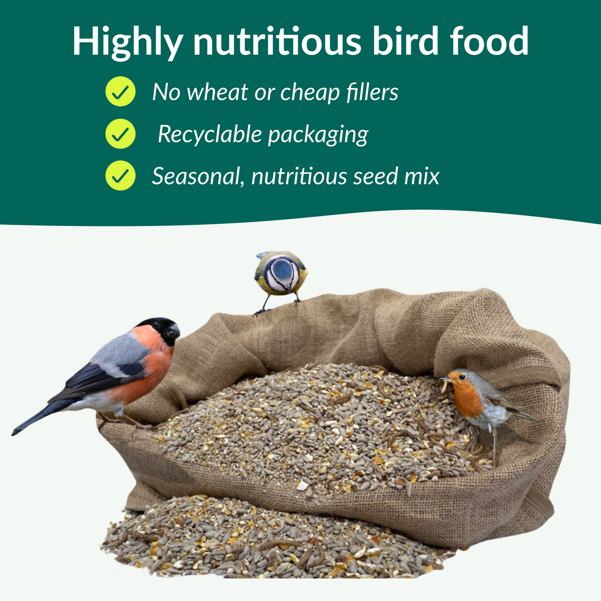 Premium No Wheat, No Mess Seasonal Bird Food Mix