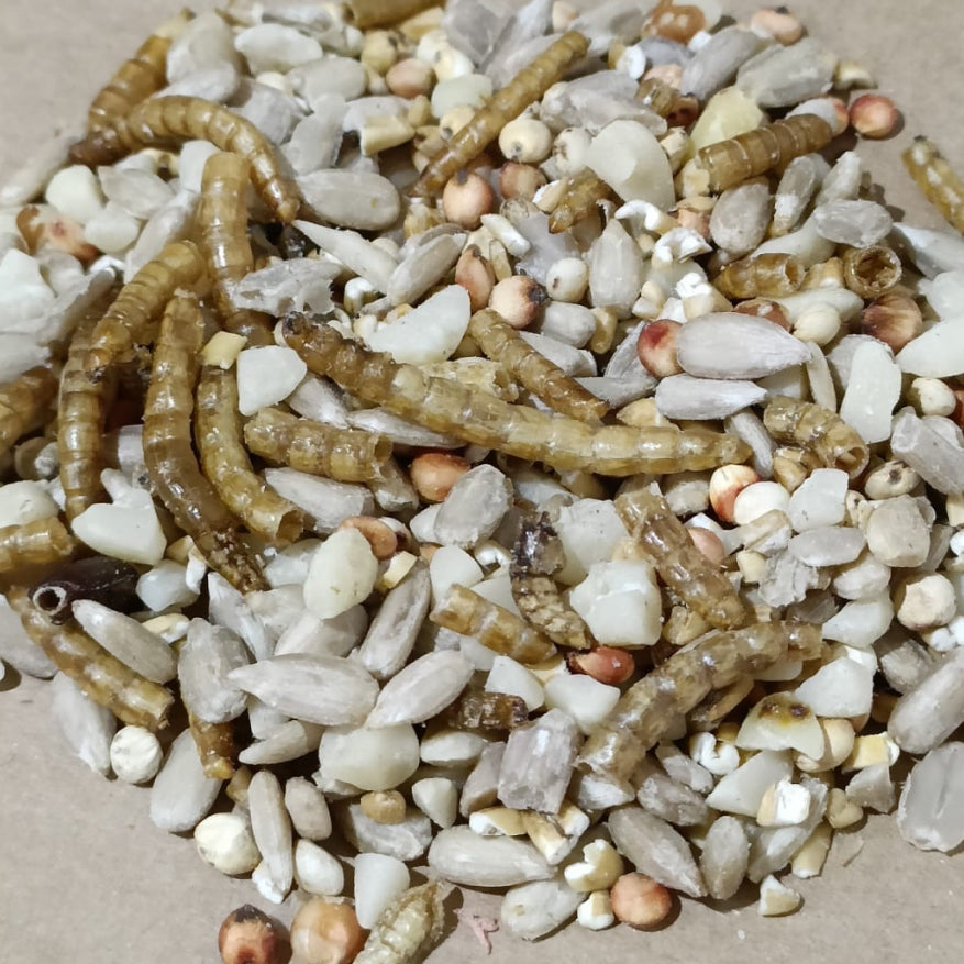 Premium No Wheat, No Mess Seasonal Bird Food Mix