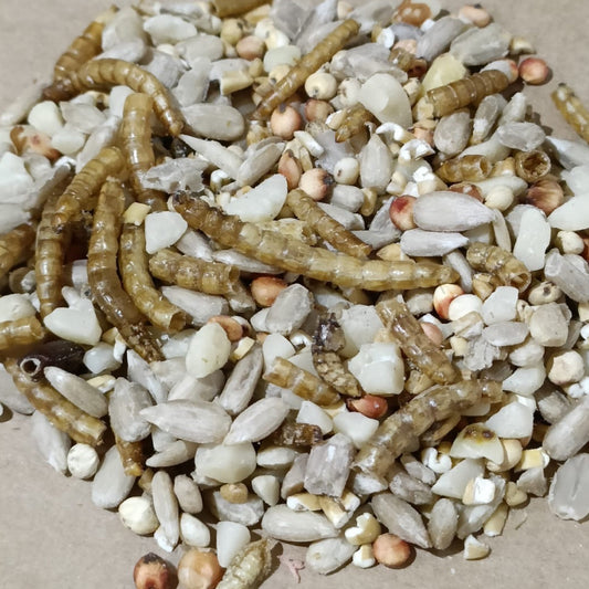 Premium No Wheat, No Mess Seasonal Bird Food Mix