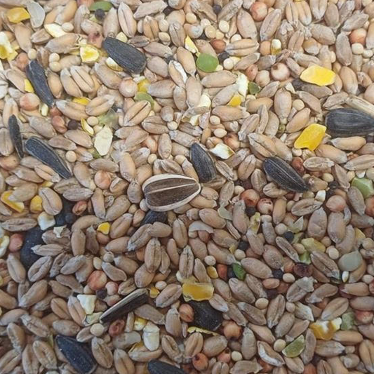 Wild Bird Seed Blend