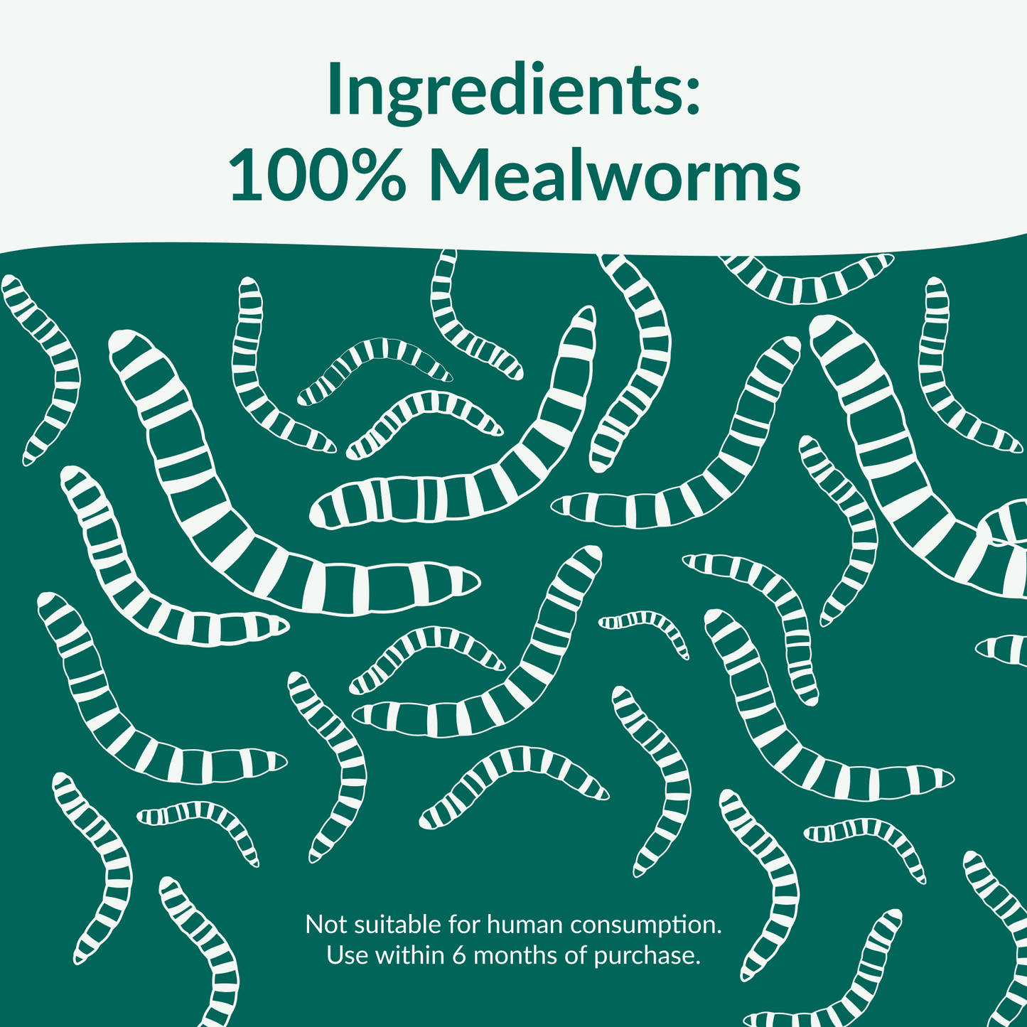 Dried Mealworms