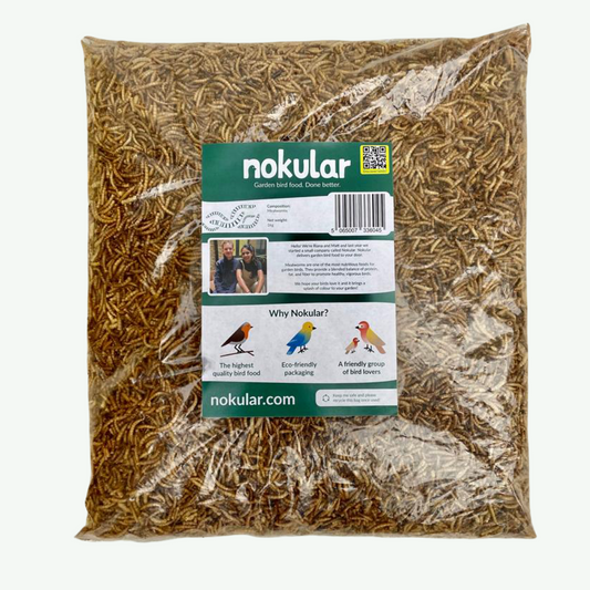 Dried Mealworms