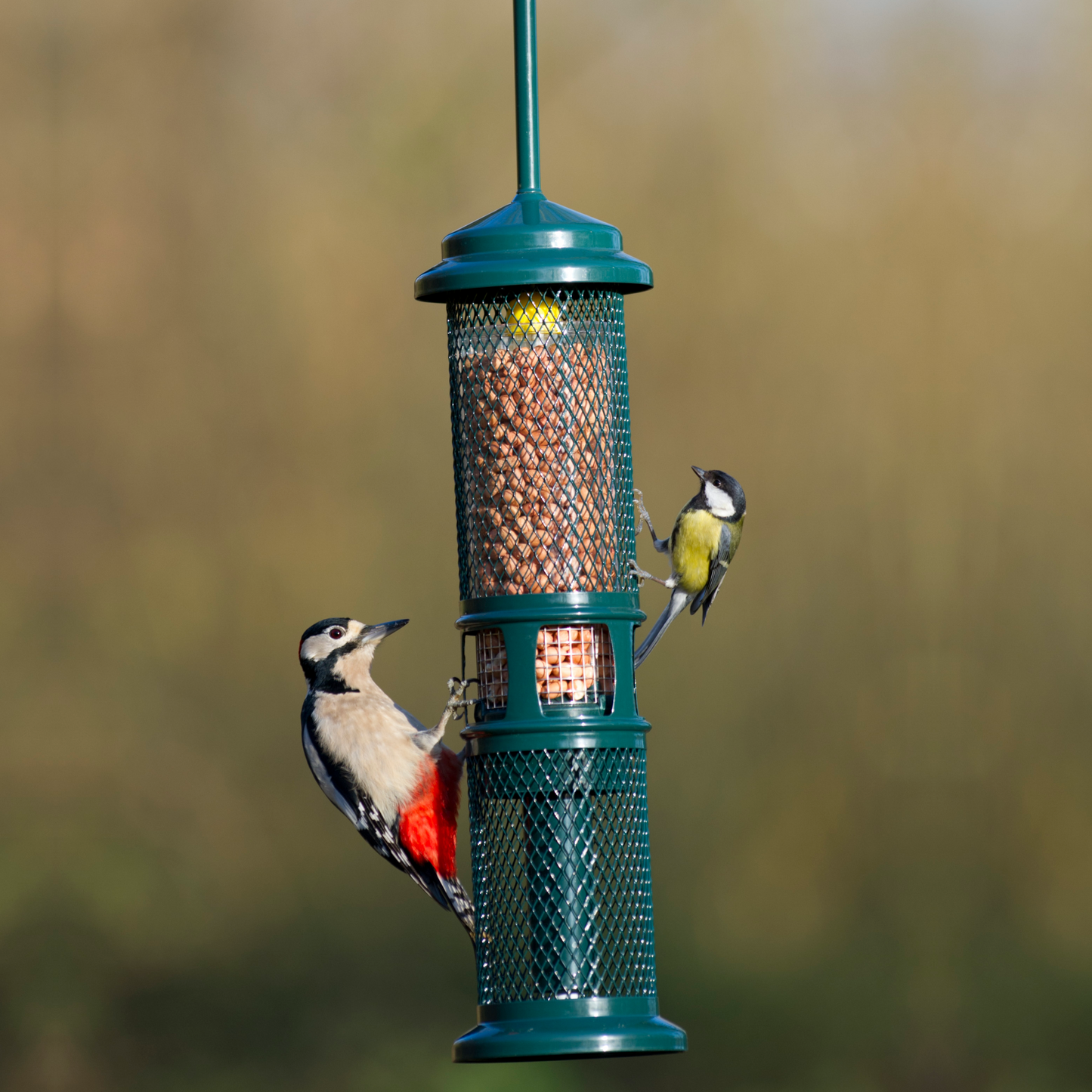 Squirrel Buster - Peanut Feeder