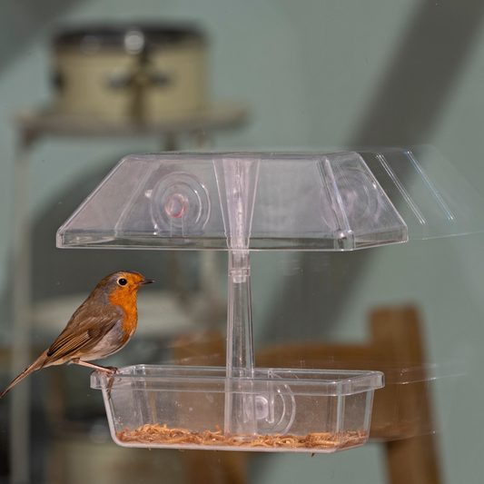 Window Feeder